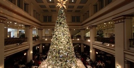 History &amp; Holiday Lights Tour